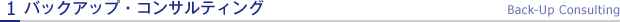 1.Хååס󥵥ƥ  Back-Up Consulting